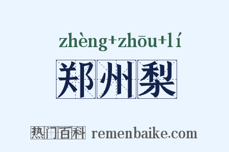 郑州梨是什么意思的图片